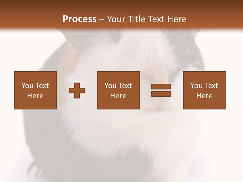 Pig Guinea Lab PowerPoint Template