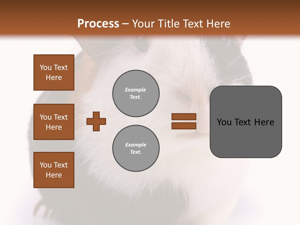 Pig Guinea Lab PowerPoint Template