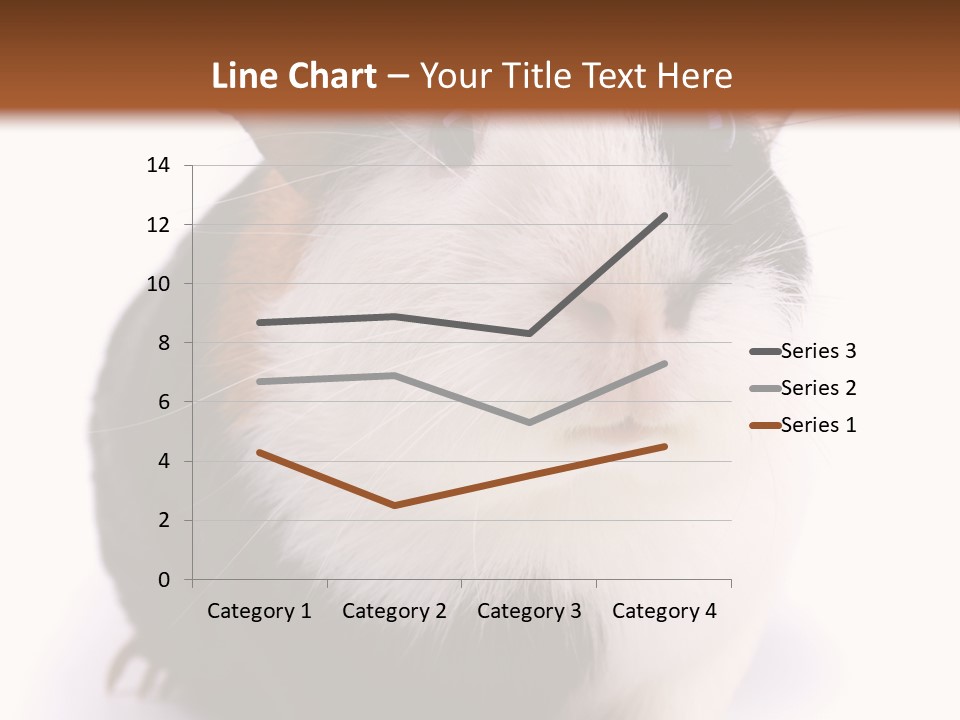 Pig Guinea Lab PowerPoint Template