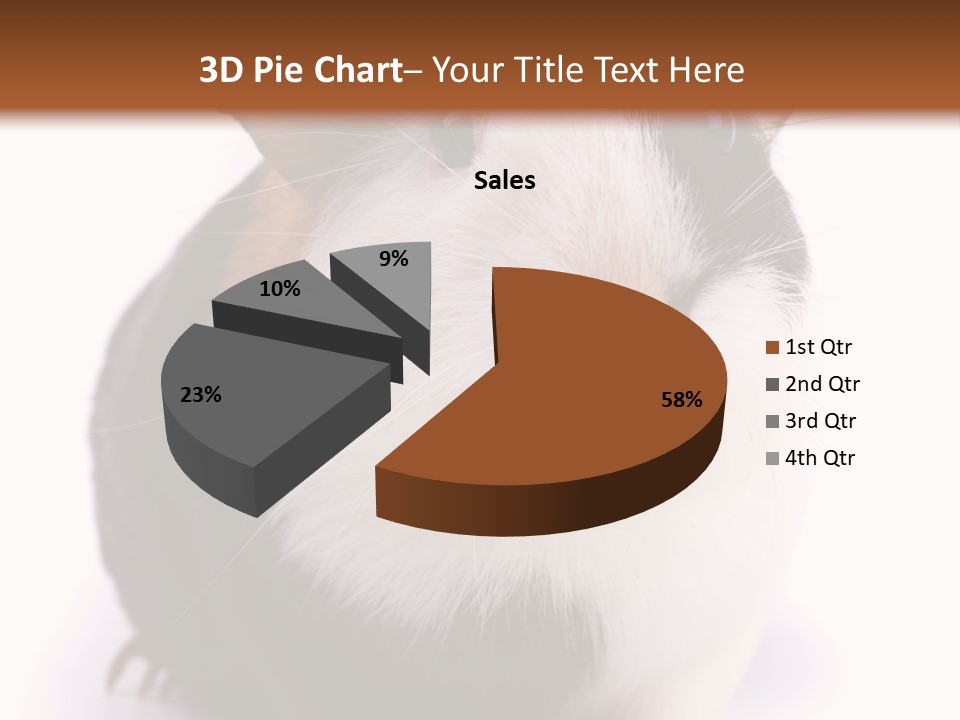 Pig Guinea Lab PowerPoint Template