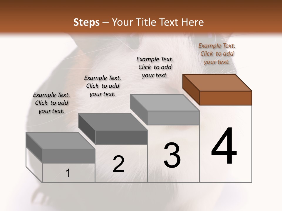 Pig Guinea Lab PowerPoint Template