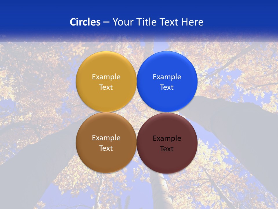 Season Nature United PowerPoint Template