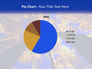 Season Nature United PowerPoint Template