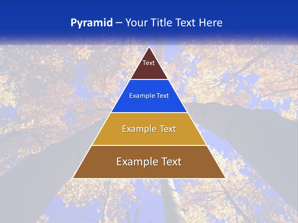 Season Nature United PowerPoint Template