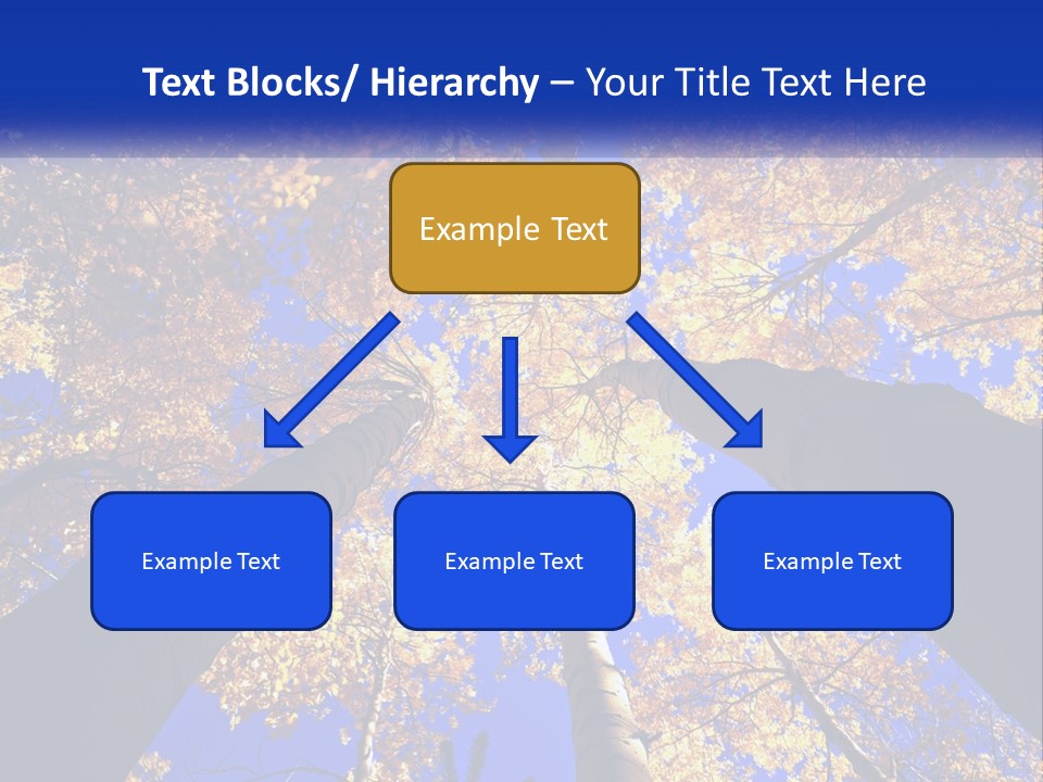 Season Nature United PowerPoint Template