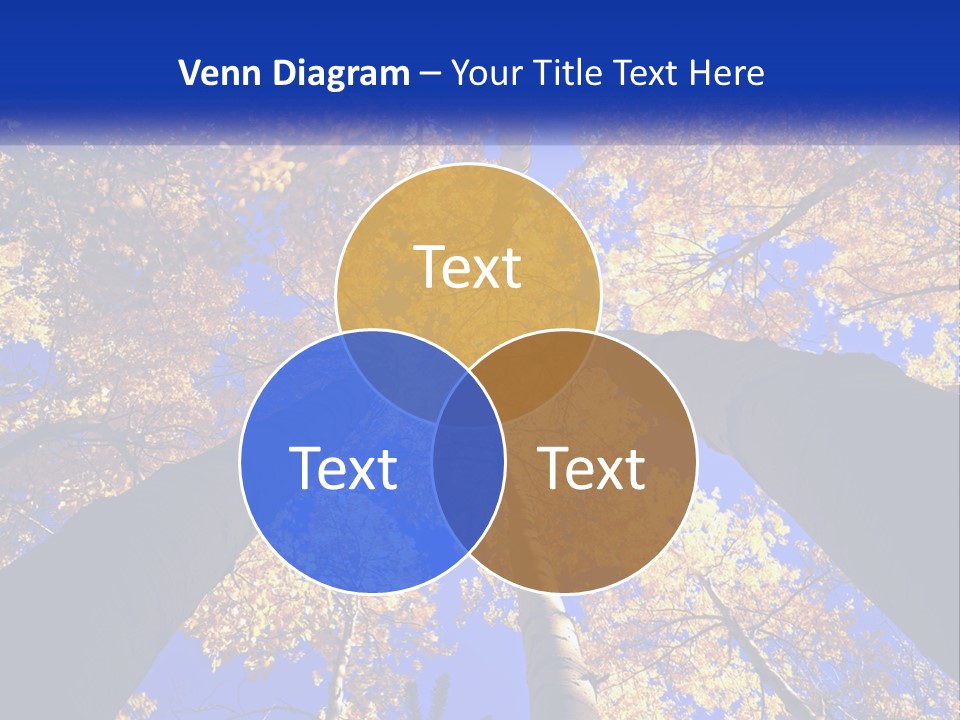 Season Nature United PowerPoint Template