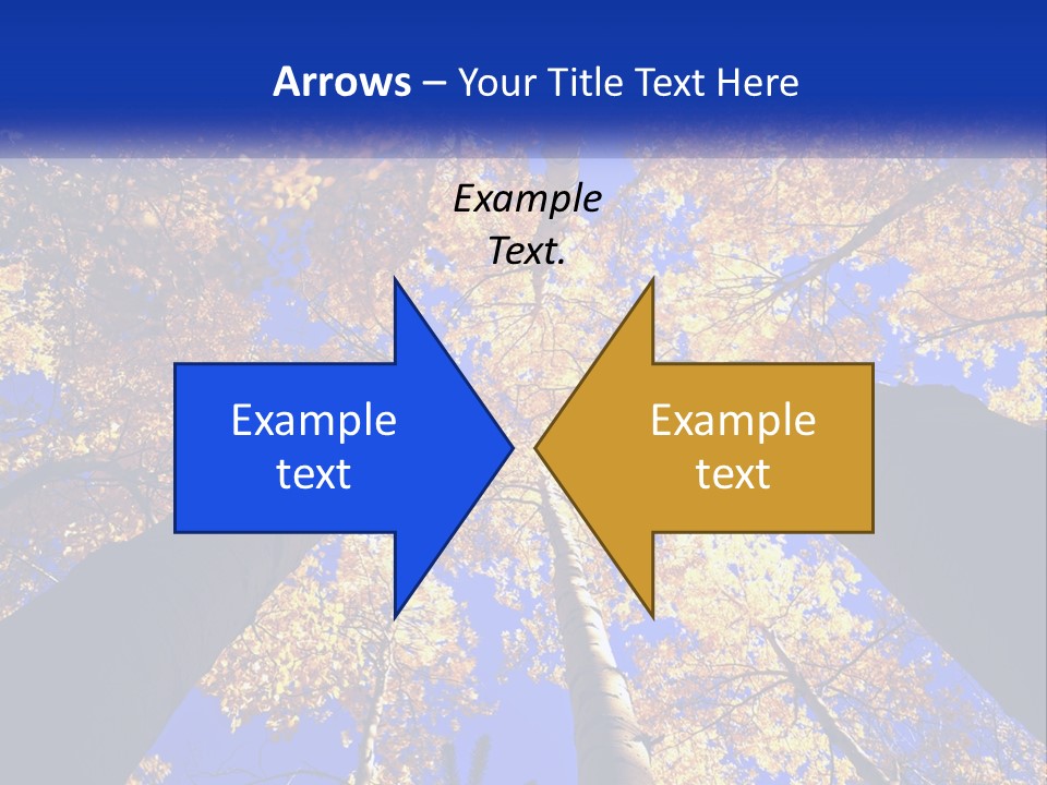 Season Nature United PowerPoint Template