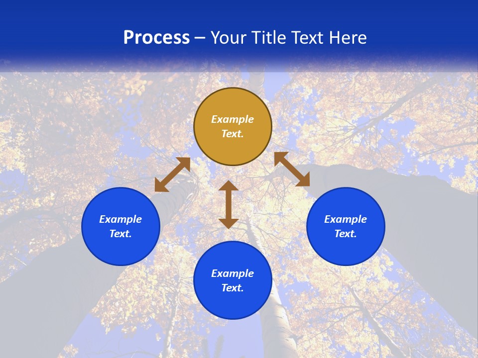 Season Nature United PowerPoint Template