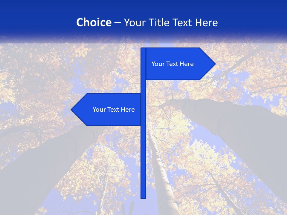 Season Nature United PowerPoint Template