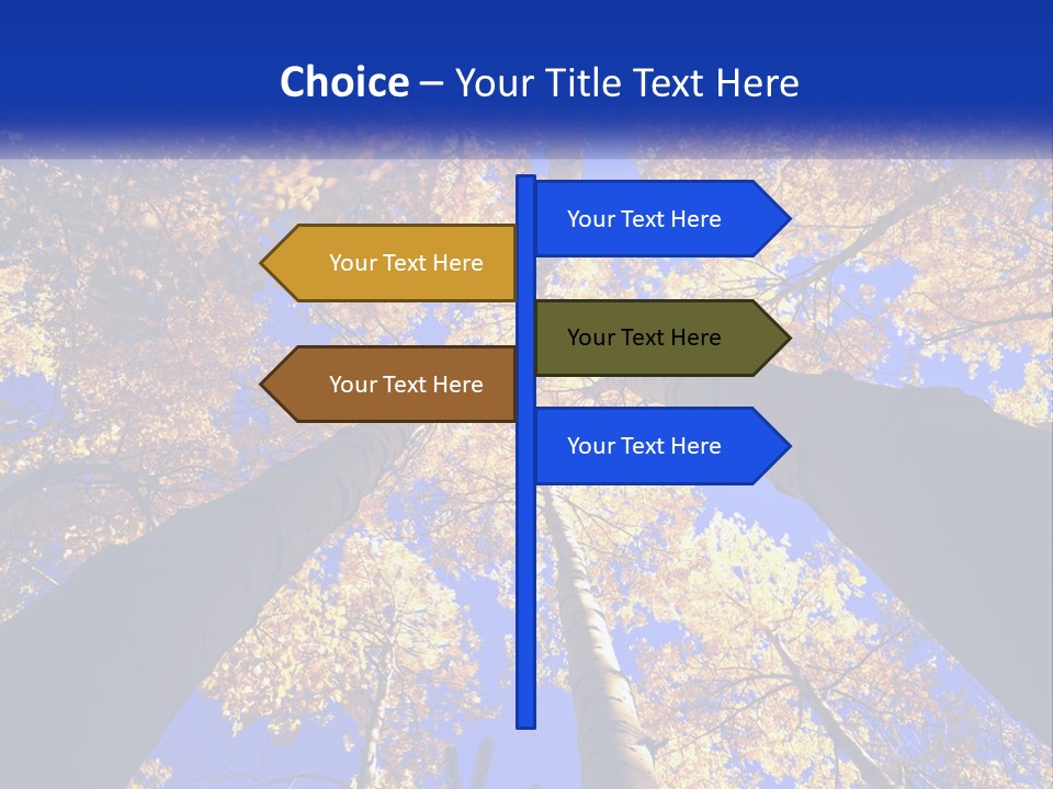 Season Nature United PowerPoint Template