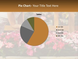 Botany Potted Choice PowerPoint Template