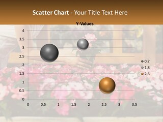 Botany Potted Choice PowerPoint Template