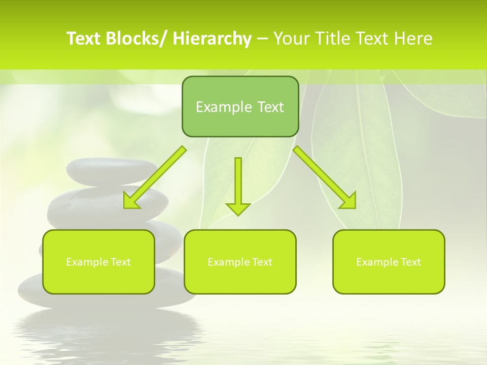 Wellness Detail Flora PowerPoint Template