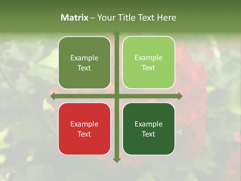 Red Hanging Geranium PowerPoint Template