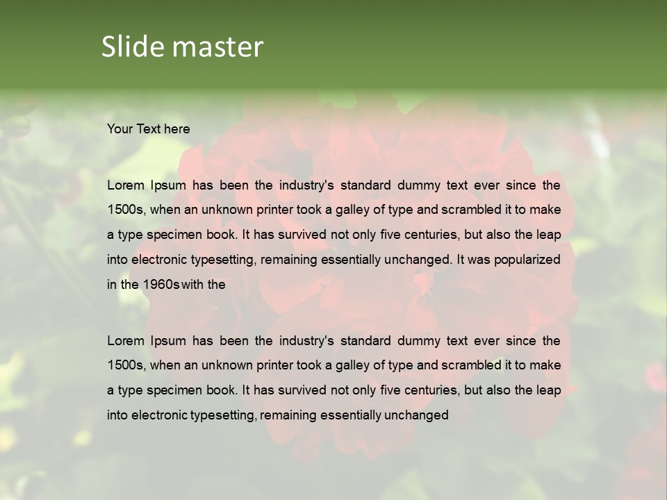 Red Hanging Geranium PowerPoint Template
