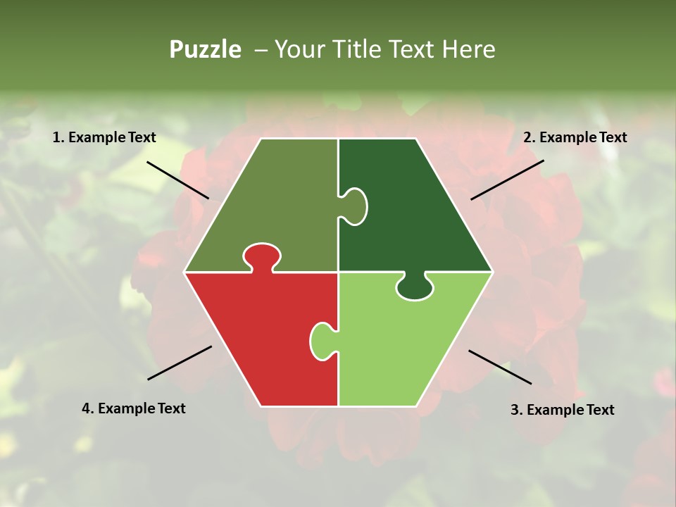 Red Hanging Geranium PowerPoint Template