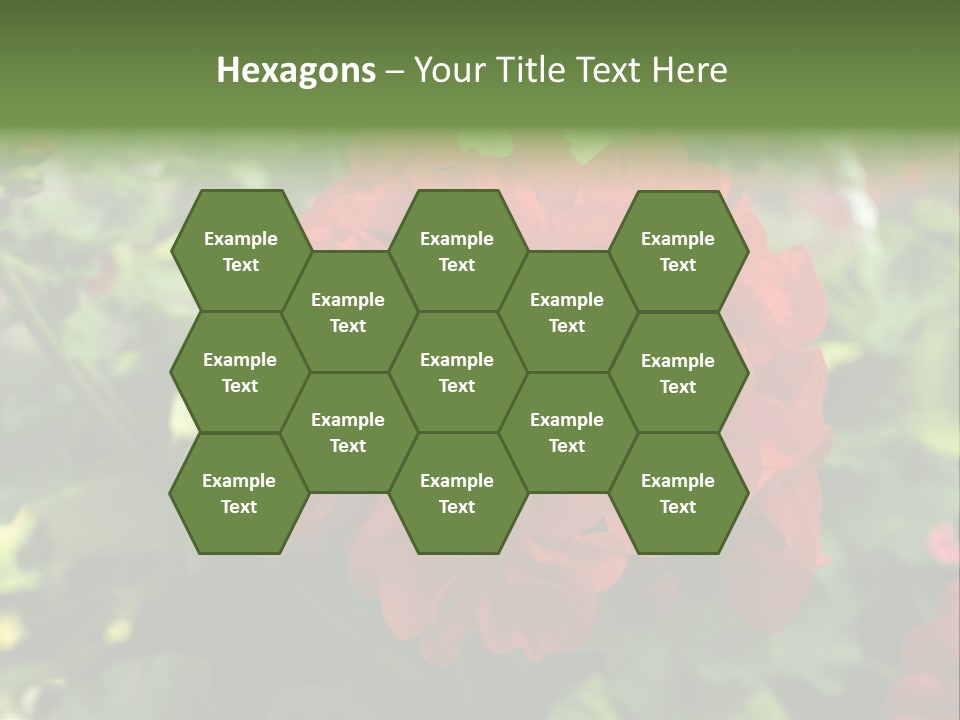 Red Hanging Geranium PowerPoint Template