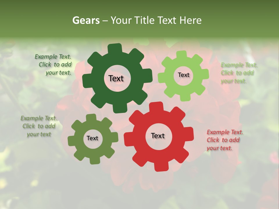 Red Hanging Geranium PowerPoint Template