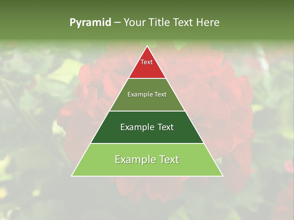 Red Hanging Geranium PowerPoint Template