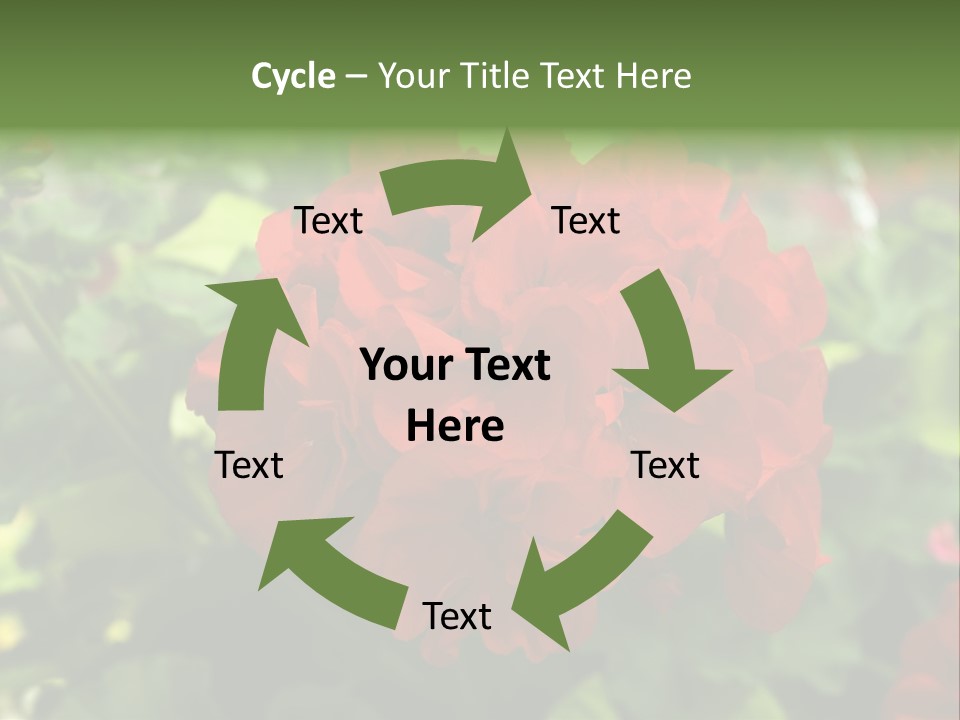 Red Hanging Geranium PowerPoint Template