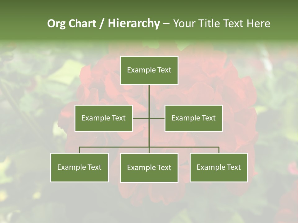 Red Hanging Geranium PowerPoint Template