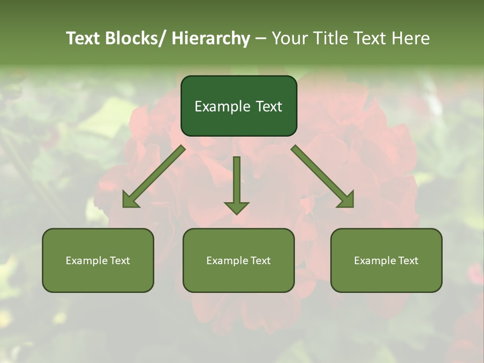 Red Hanging Geranium PowerPoint Template