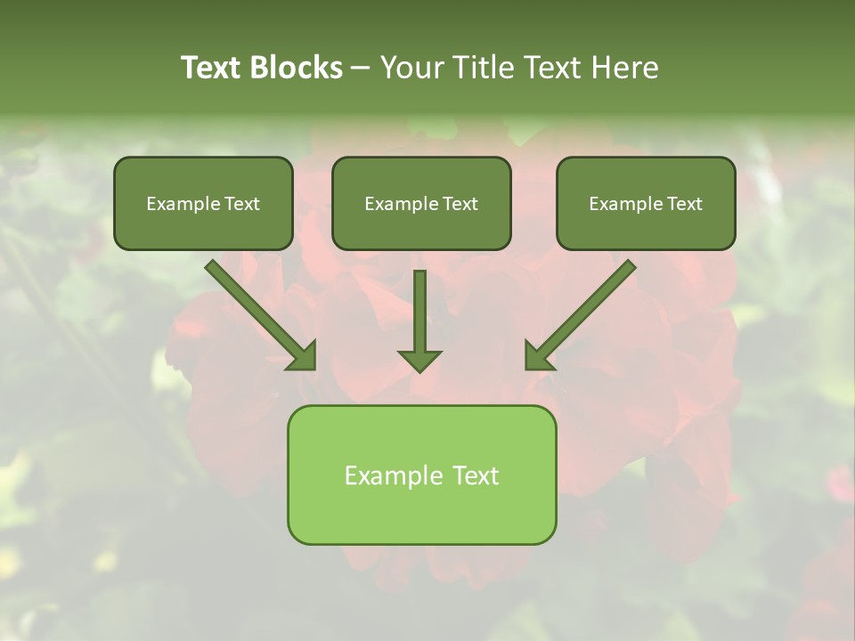 Red Hanging Geranium PowerPoint Template