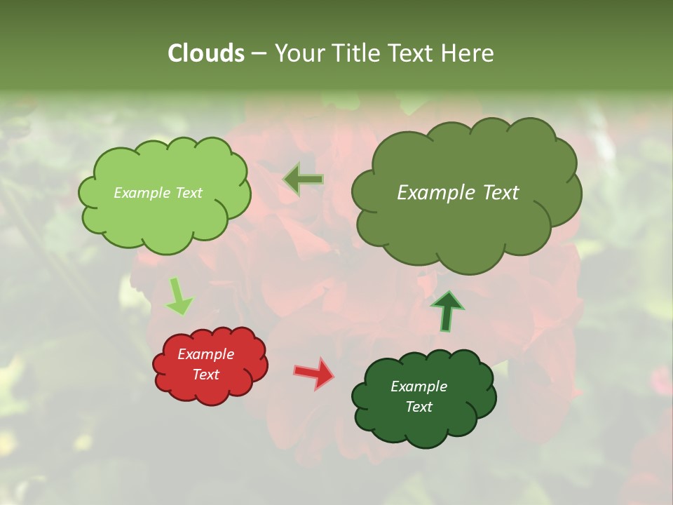 Red Hanging Geranium PowerPoint Template