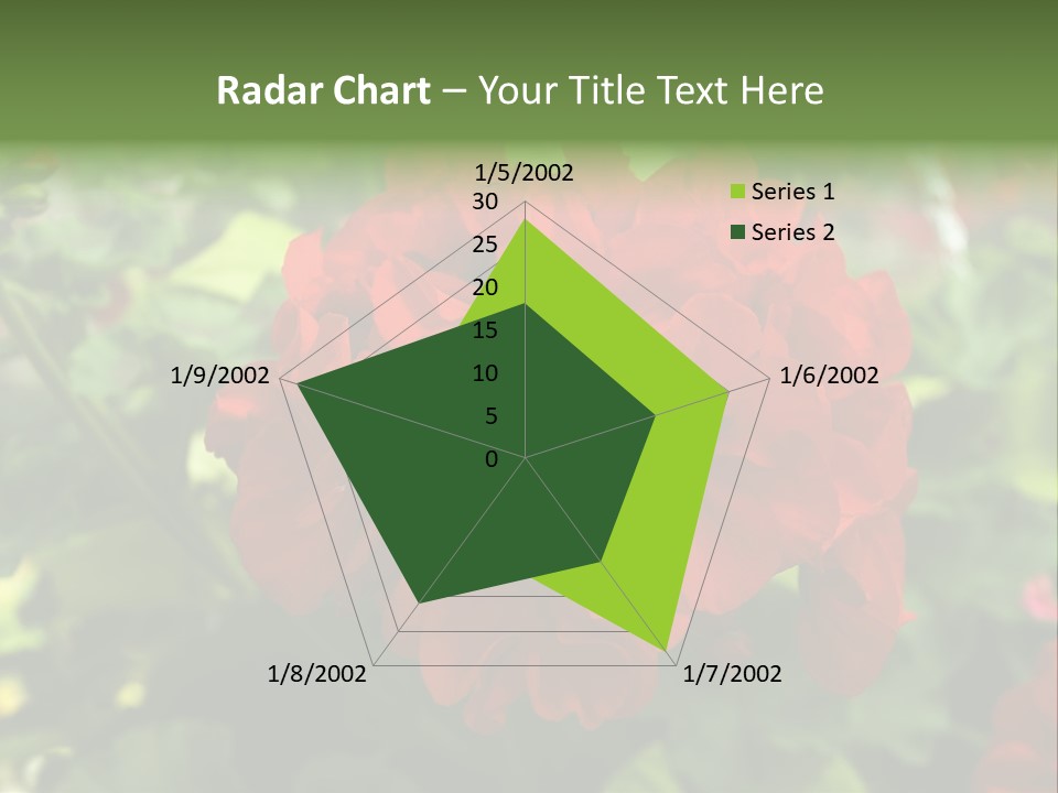 Red Hanging Geranium PowerPoint Template