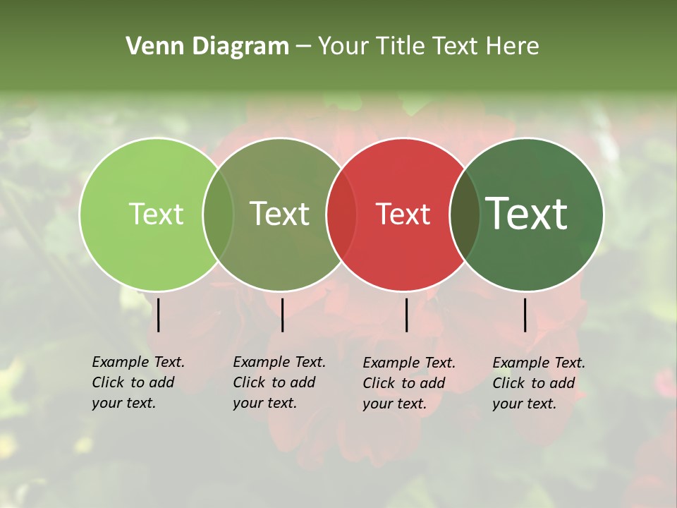 Red Hanging Geranium PowerPoint Template