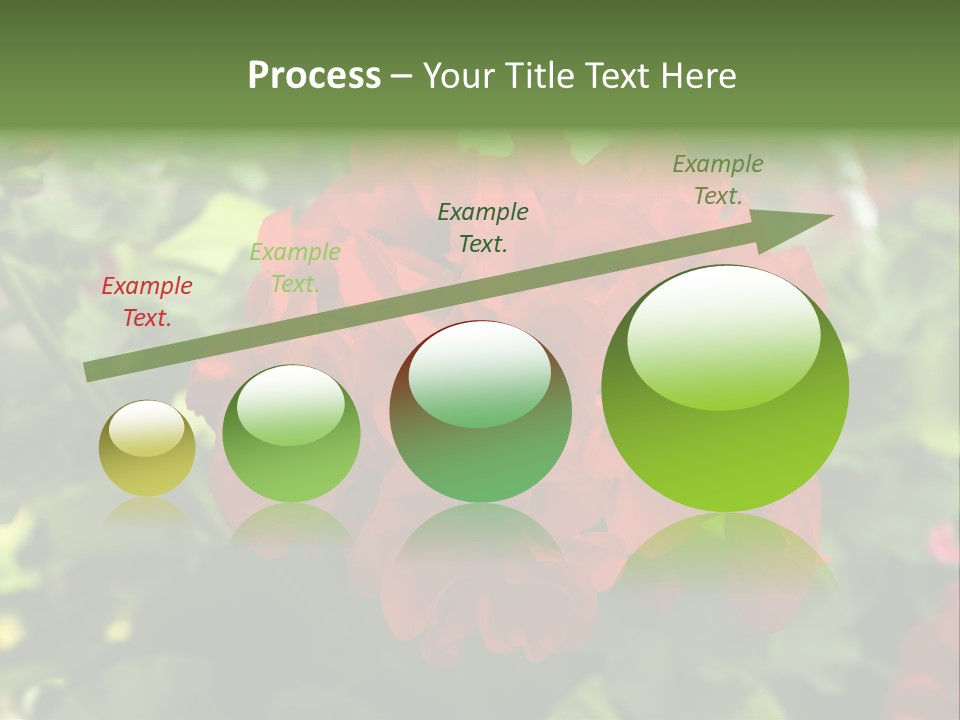 Red Hanging Geranium PowerPoint Template