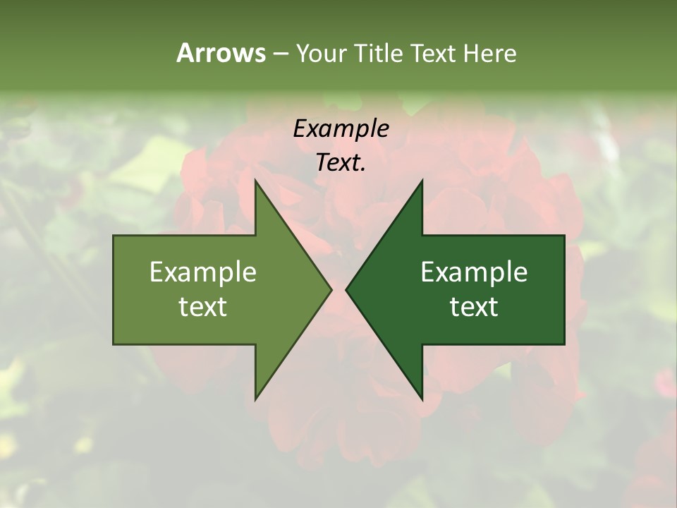 Red Hanging Geranium PowerPoint Template