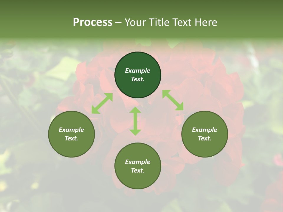 Red Hanging Geranium PowerPoint Template