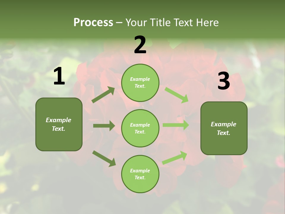 Red Hanging Geranium PowerPoint Template