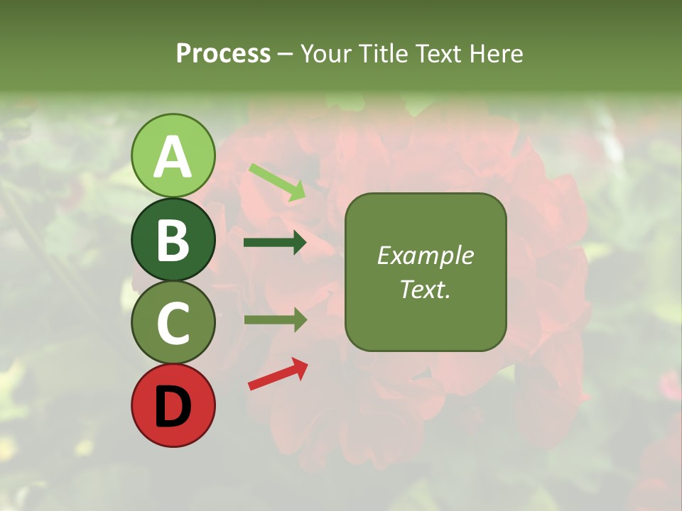 Red Hanging Geranium PowerPoint Template