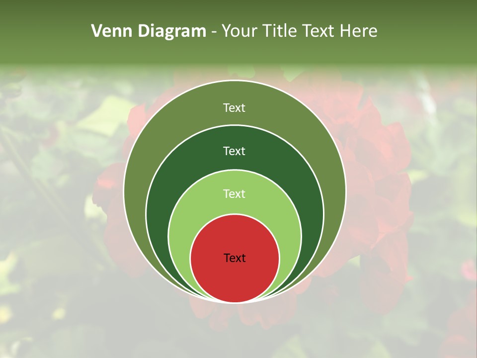 Red Hanging Geranium PowerPoint Template