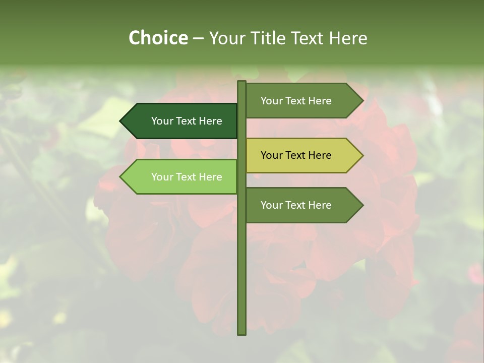 Red Hanging Geranium PowerPoint Template