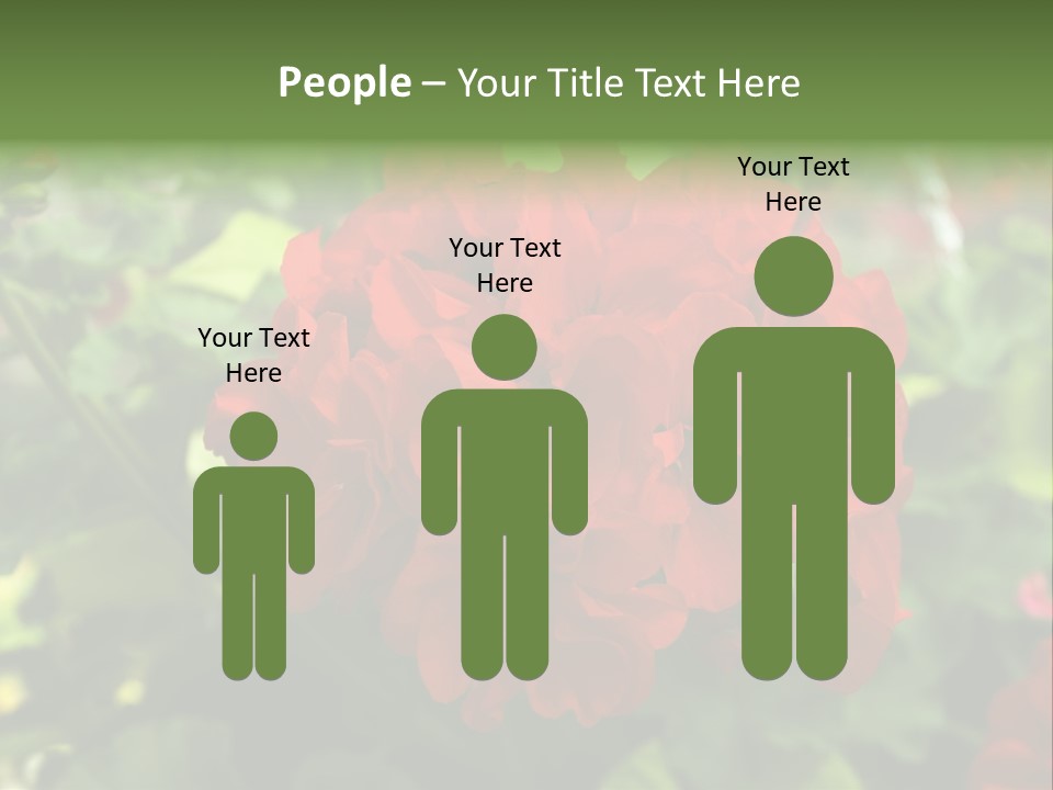 Red Hanging Geranium PowerPoint Template