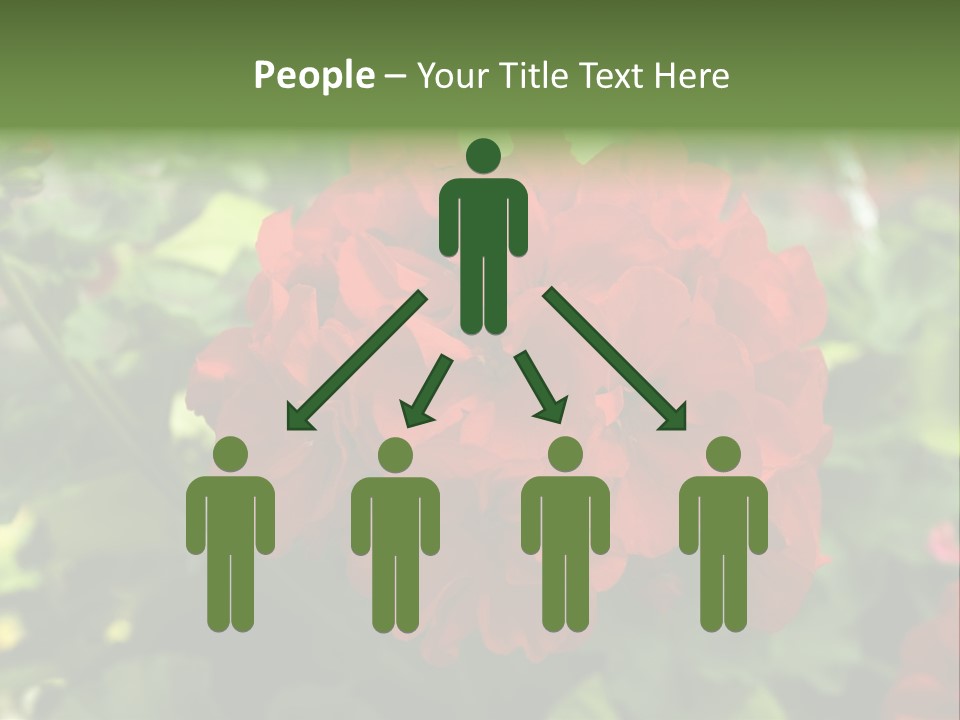 Red Hanging Geranium PowerPoint Template