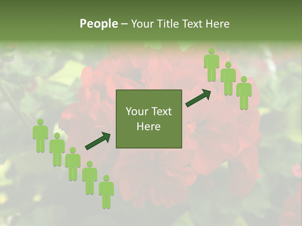 Red Hanging Geranium PowerPoint Template