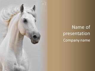 Animal Domestic Thoroughbred PowerPoint Template