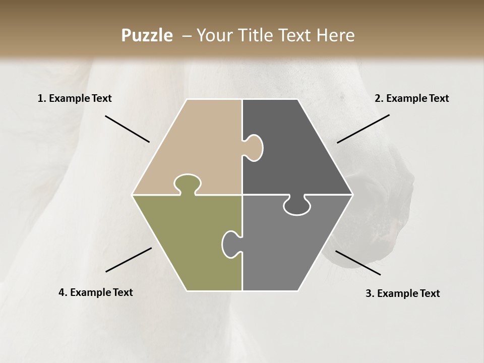 Animal Domestic Thoroughbred PowerPoint Template