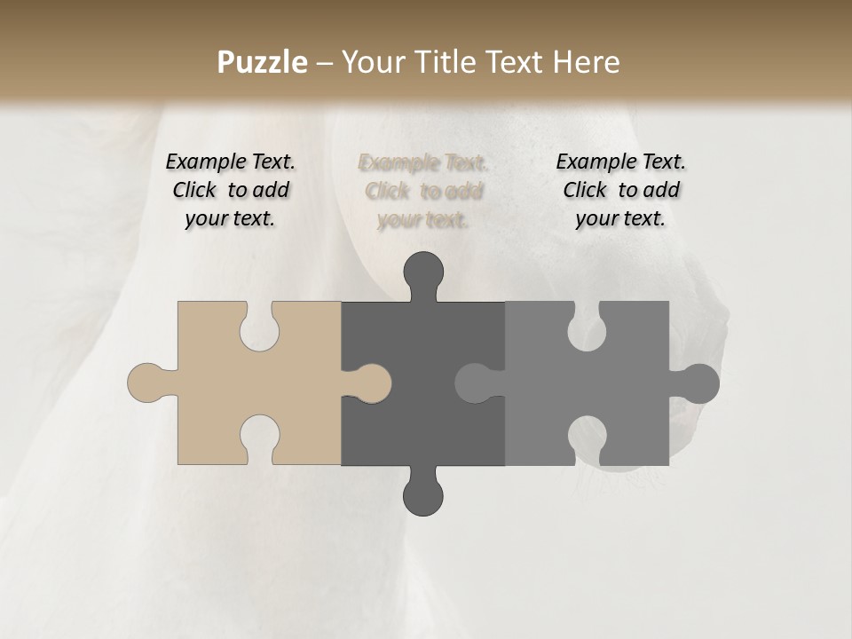 Animal Domestic Thoroughbred PowerPoint Template