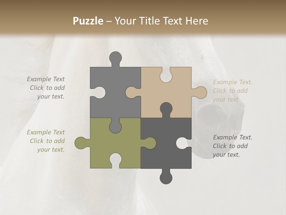 Animal Domestic Thoroughbred PowerPoint Template