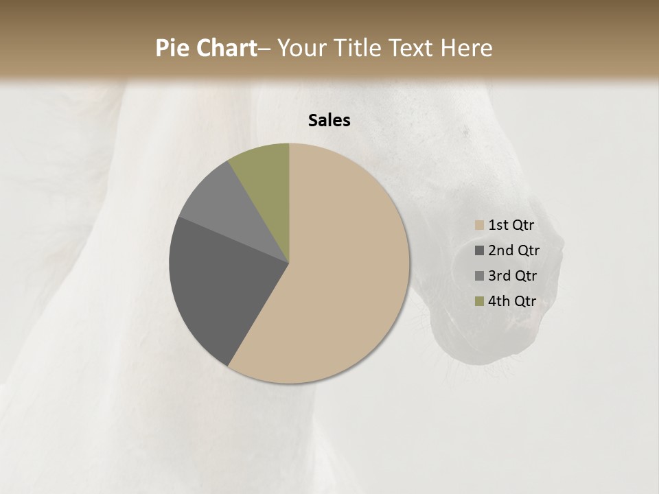 Animal Domestic Thoroughbred PowerPoint Template