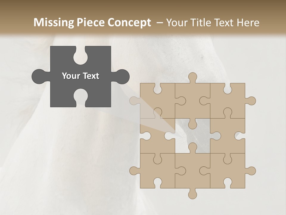 Animal Domestic Thoroughbred PowerPoint Template