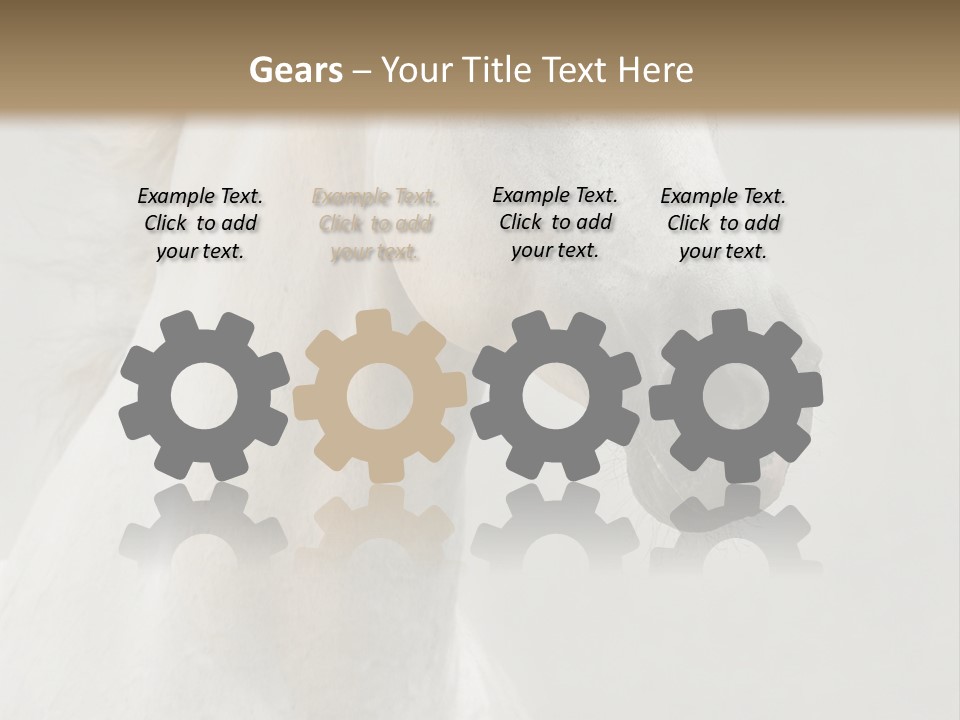 Animal Domestic Thoroughbred PowerPoint Template