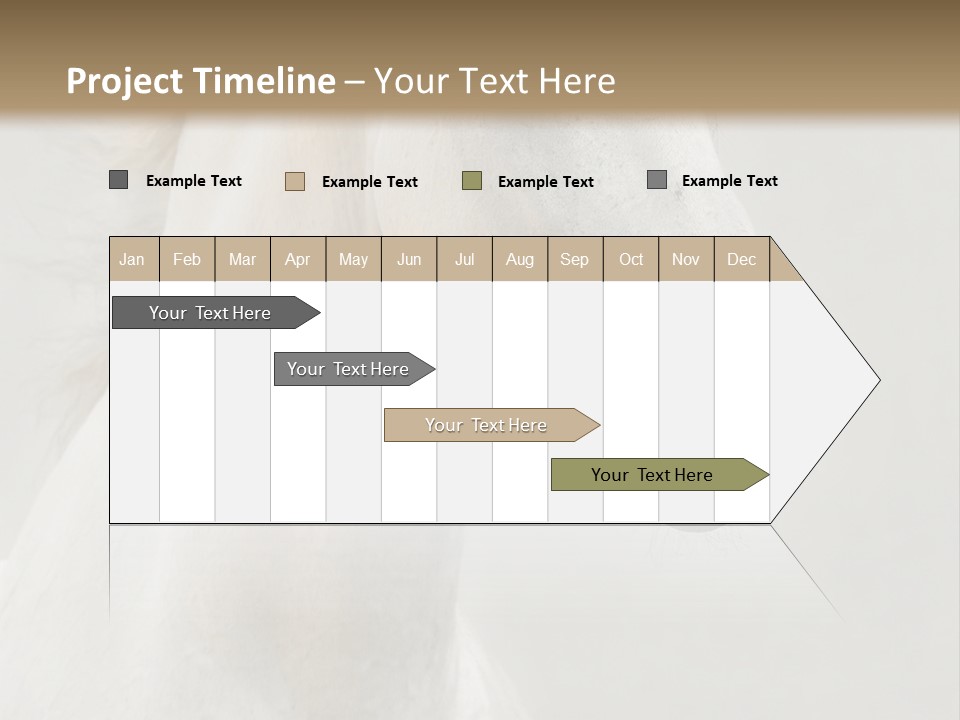 Animal Domestic Thoroughbred PowerPoint Template