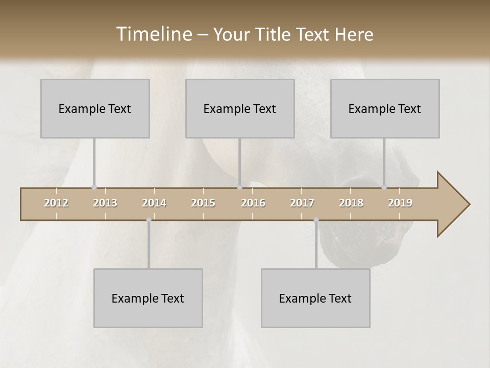 Animal Domestic Thoroughbred PowerPoint Template