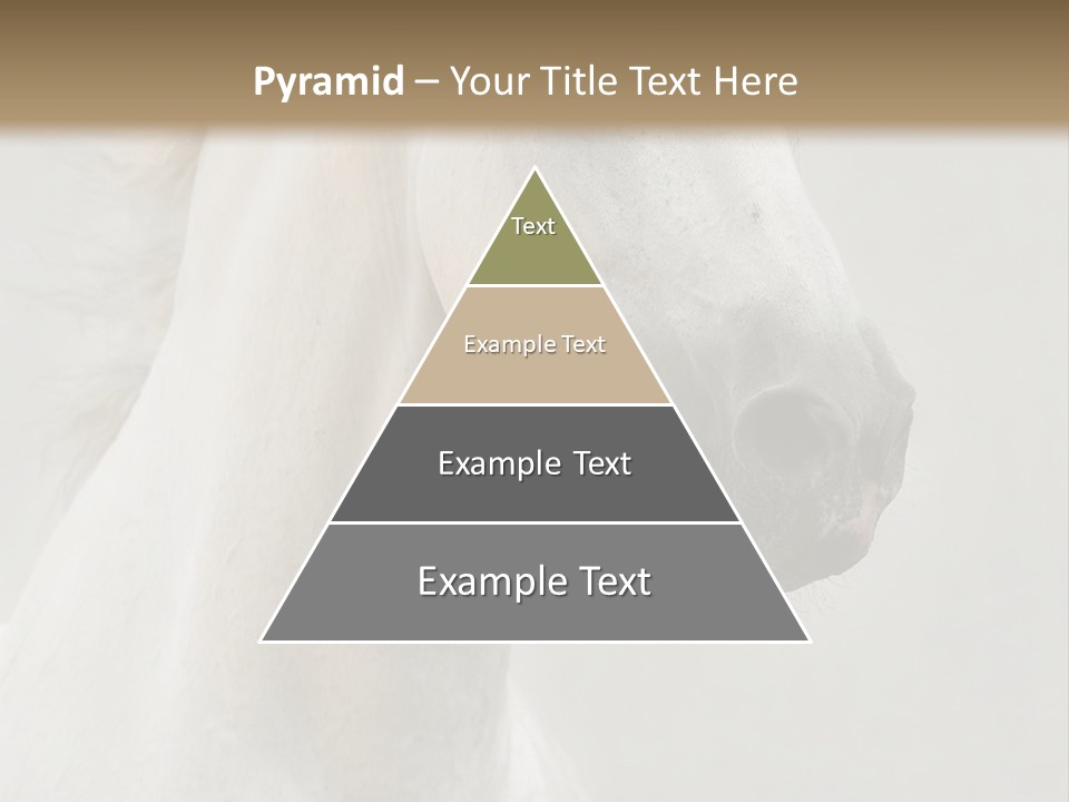 Animal Domestic Thoroughbred PowerPoint Template